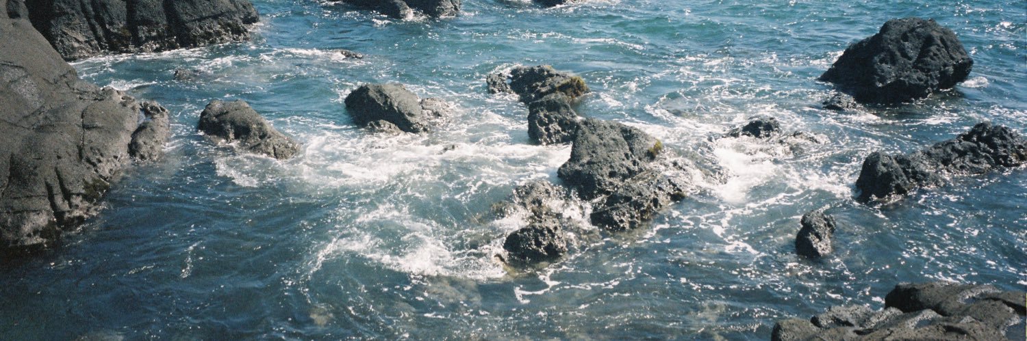 душа северянина banner