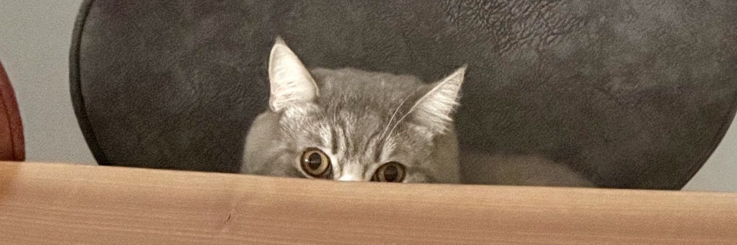 zubidaba's profile banner image