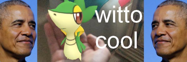 Witto banner