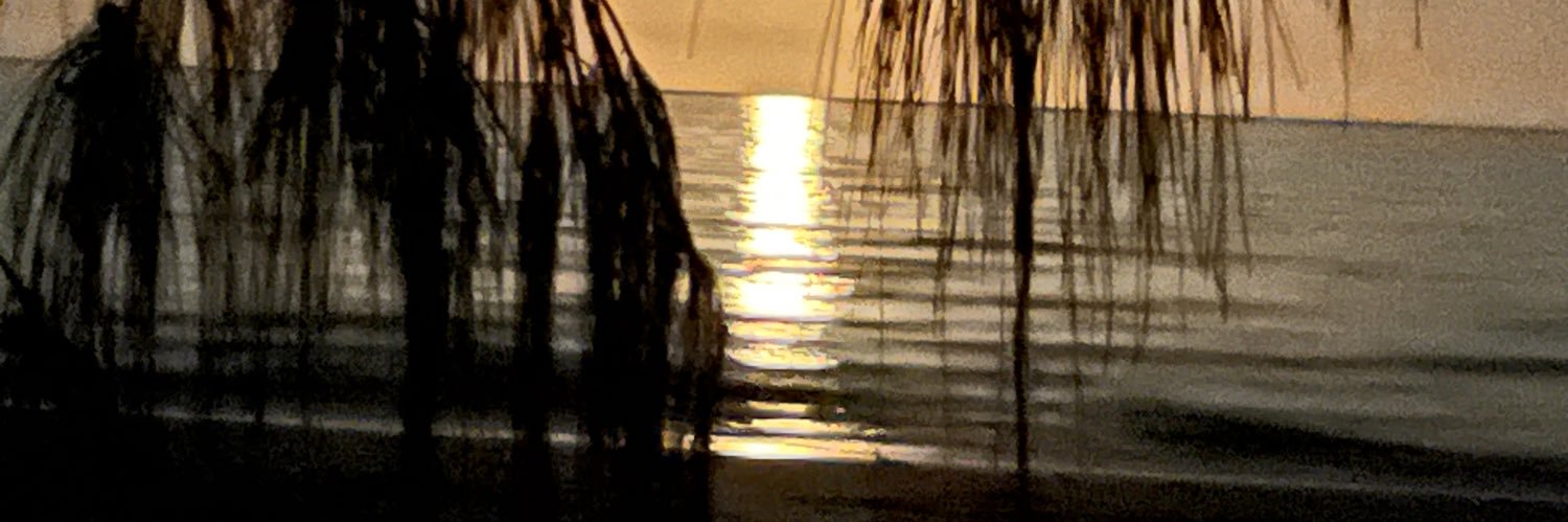 trudy3113's profile banner image