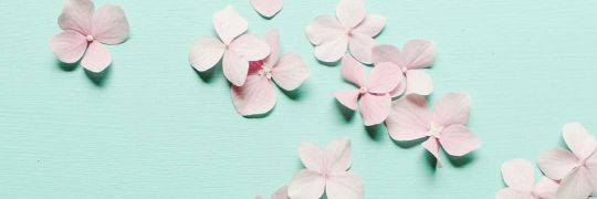 ᠃ 𖥧✨🧚🏻‍♀️✨𖥧᠃ banner