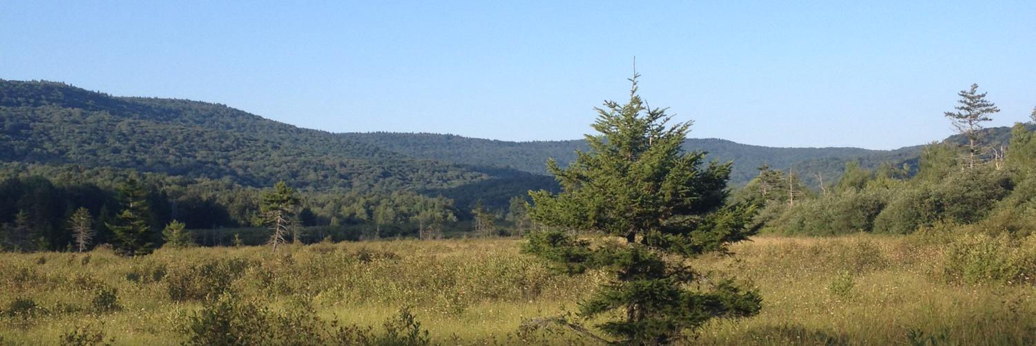 ethan8810's profile banner image