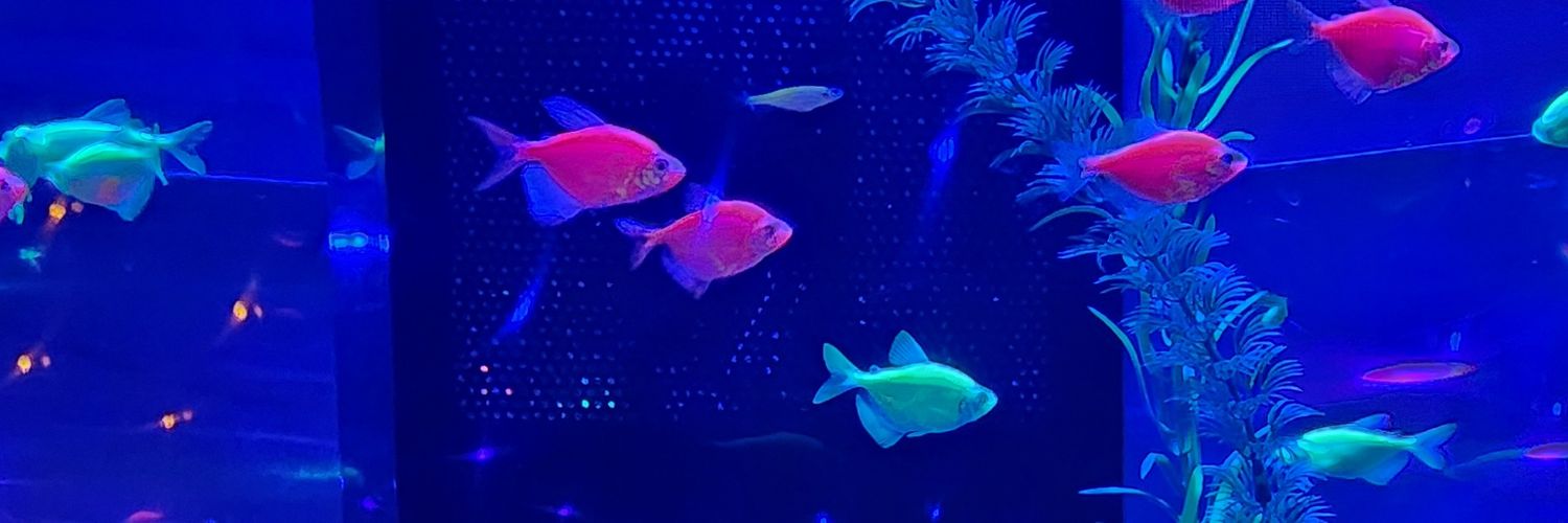 AleexFR13's profile banner image