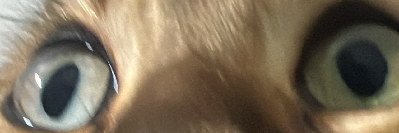 ciyaalsuq's profile banner image