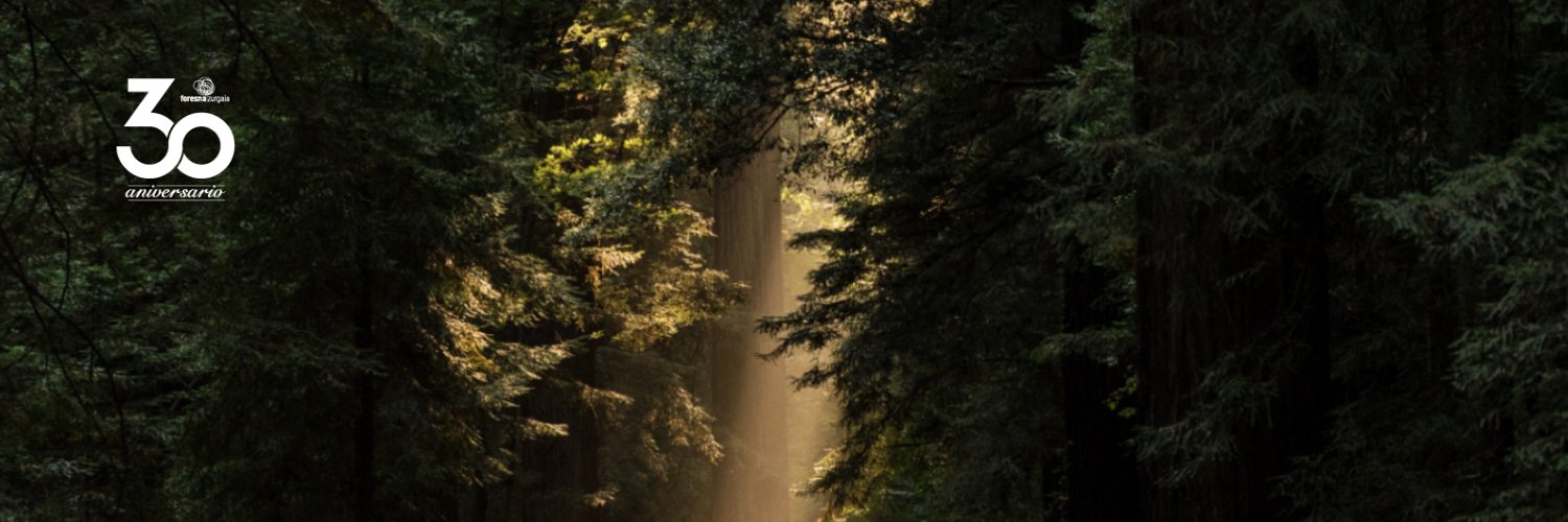 Foresna Zurgaia banner