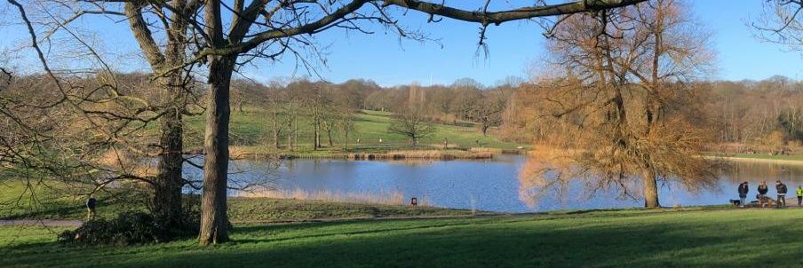 Mireilli Forrest banner