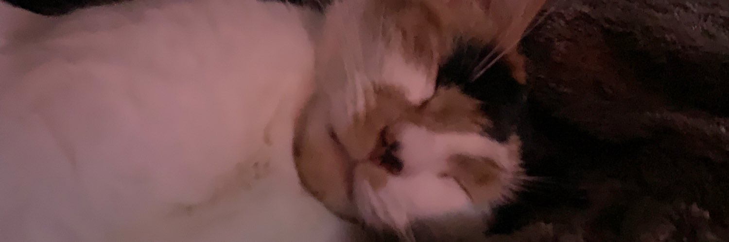 thegoodbro19's profile banner image