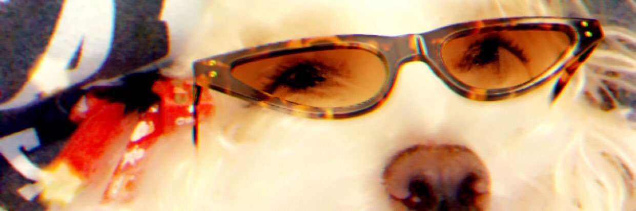 b___eazy's profile banner image