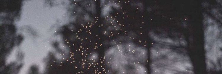 al_570's profile banner image