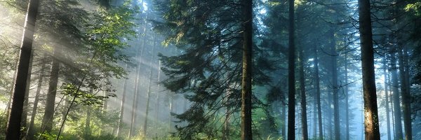 sICknXi7EwcKLRL Profile Banner