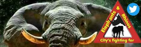 City's🐘 for Elephants & Rhinos🚩's banner