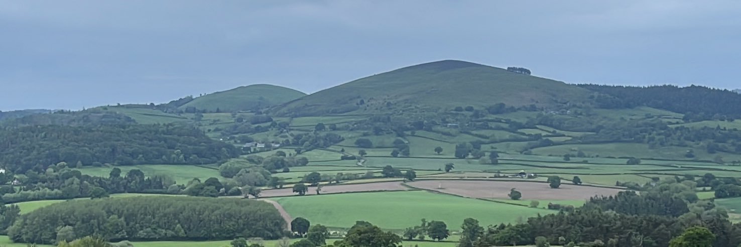 Delia Garratt banner