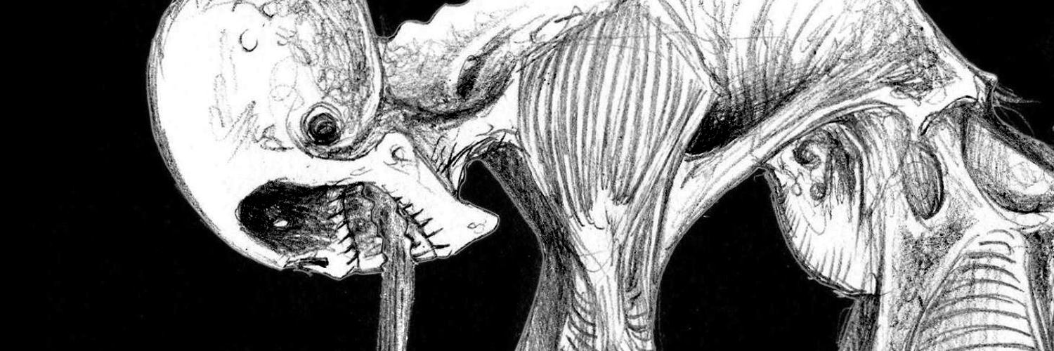 FallenVerto's profile banner image