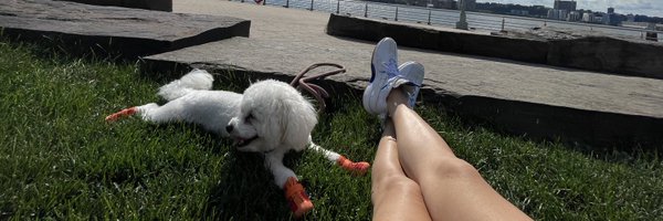 ZeeJab Profile Banner