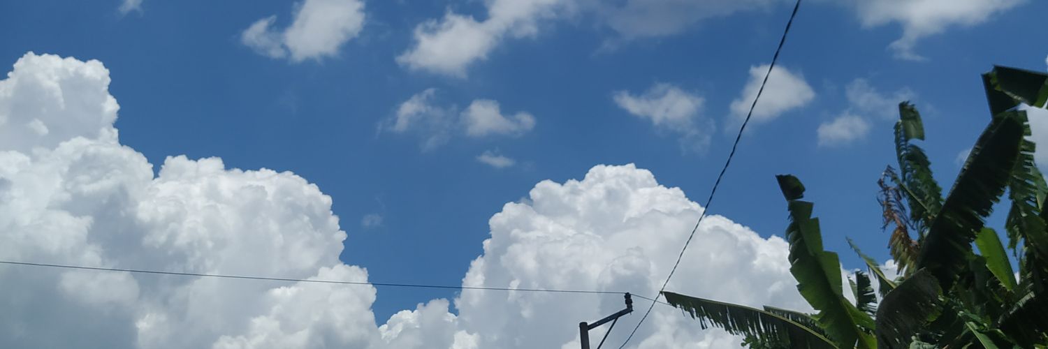 tapperwerungu's profile banner image