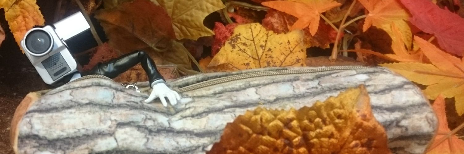 shachous's profile banner image
