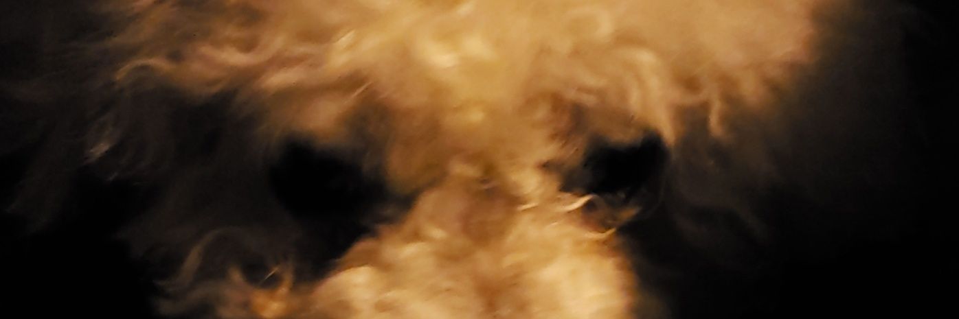BowmanShaun's profile banner image