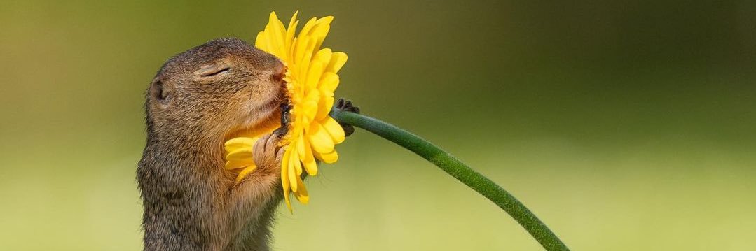 What she said kaydensley@bsky.social. banner