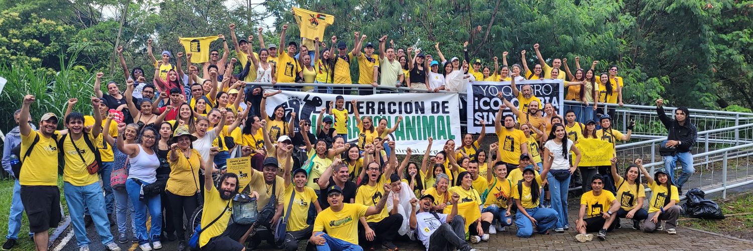 Carol Ruiz ⓥ ⊙⊝⊜🐮🌸 banner