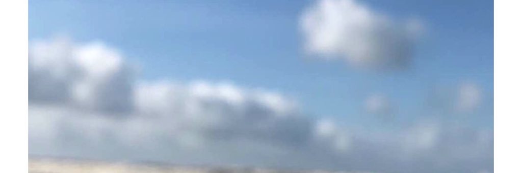 NoHopeIsland🌴 banner