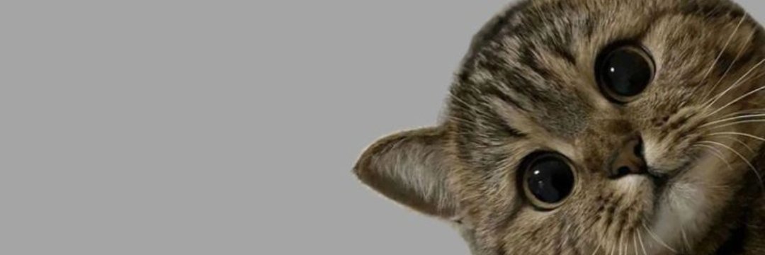 SKablumbaga's profile banner image