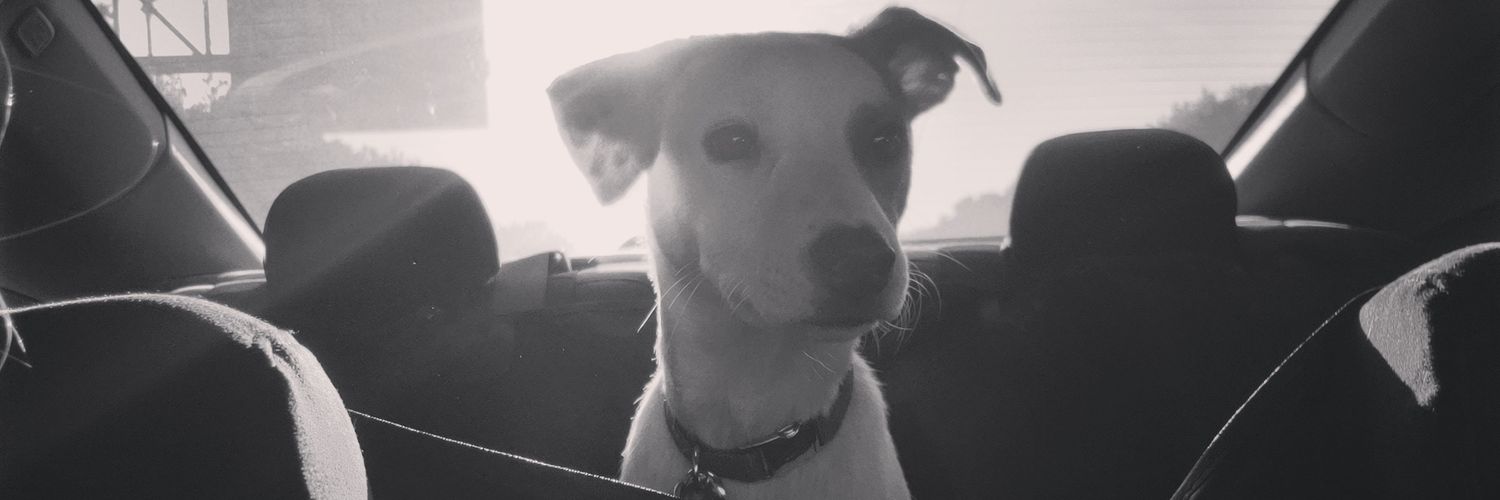 nickeyydees's profile banner image