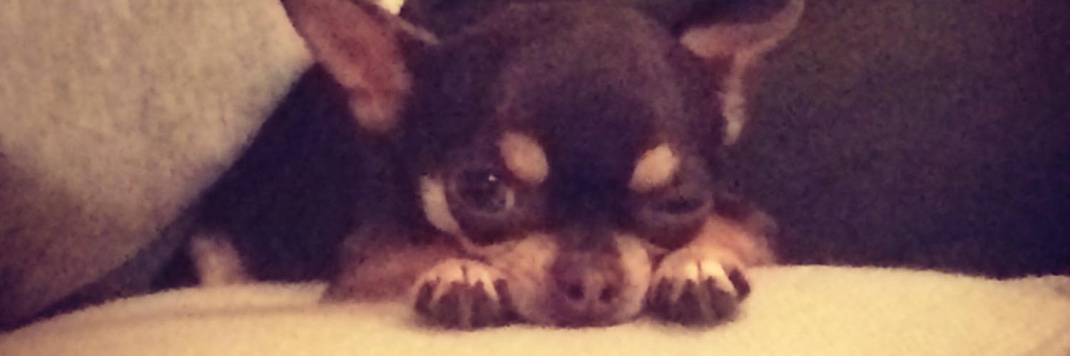 KathrynPlanA's profile banner image