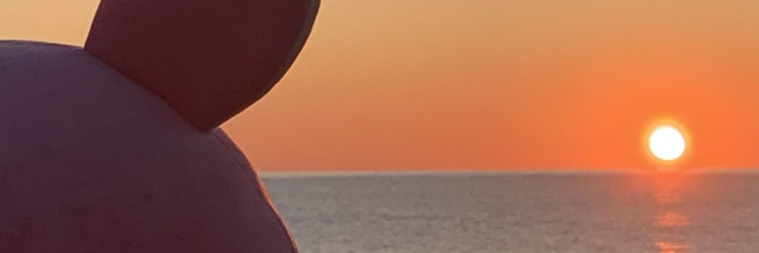 lemmy1115's profile banner image