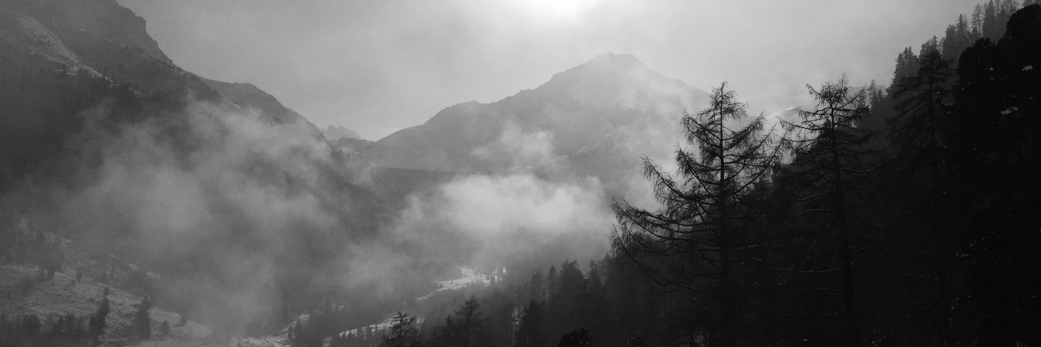 SunierCarole's profile banner image