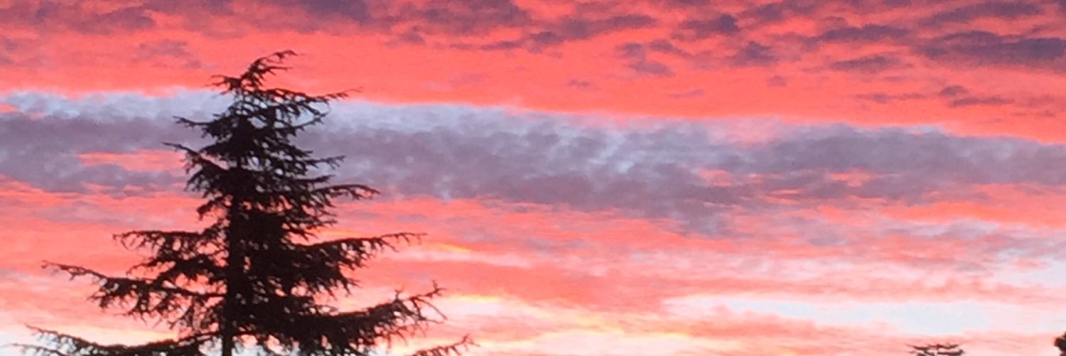 tessagregs's profile banner image