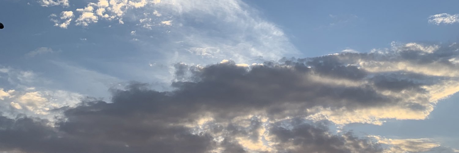 moly_almalki's profile banner image