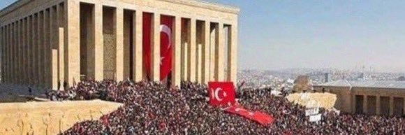 S E L E N E T T A banner