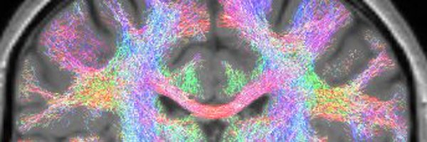 ASierpowska Profile Banner