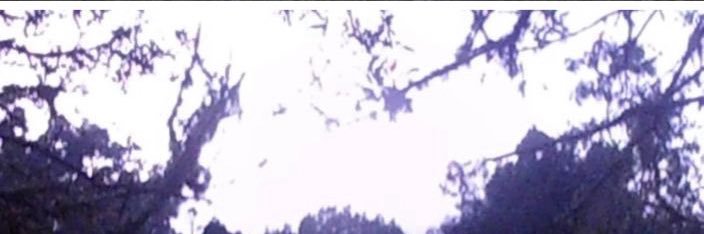 🔞The real Strinasty🕷️ banner