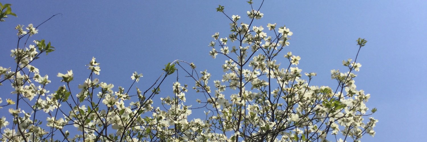 awonori's profile banner image