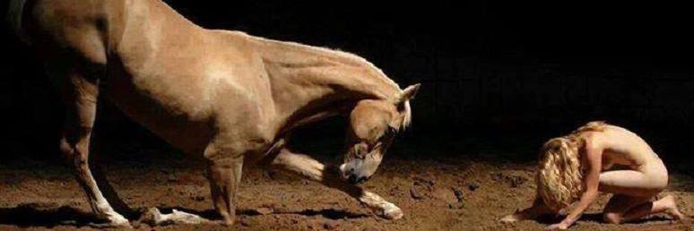 🌺🌺 Lilly 🌺🌺 banner