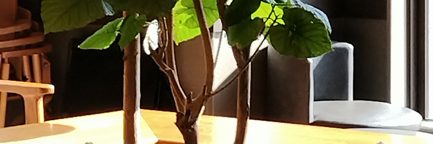 totanaka's profile banner image