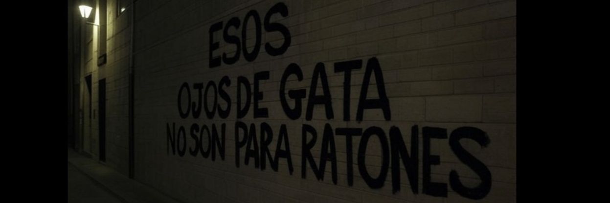 HabelaChelo's profile banner image
