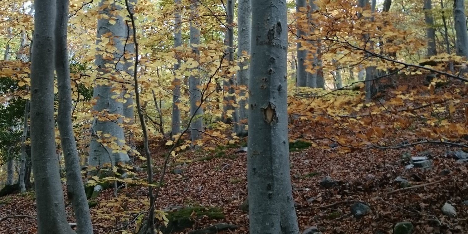 ELKE158's profile banner image