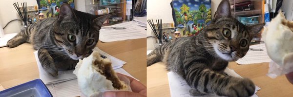 ey_985 Profile Banner