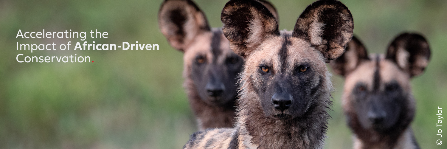 tusk_org's profile banner image