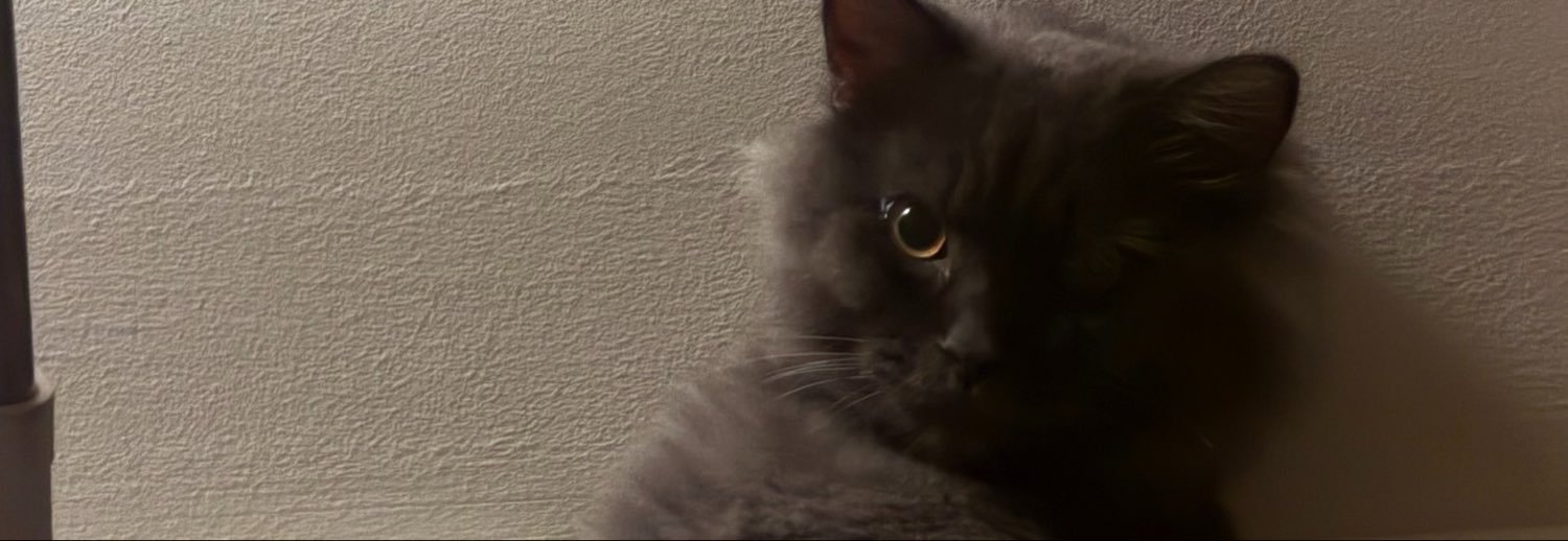 tortiegrey's profile banner image