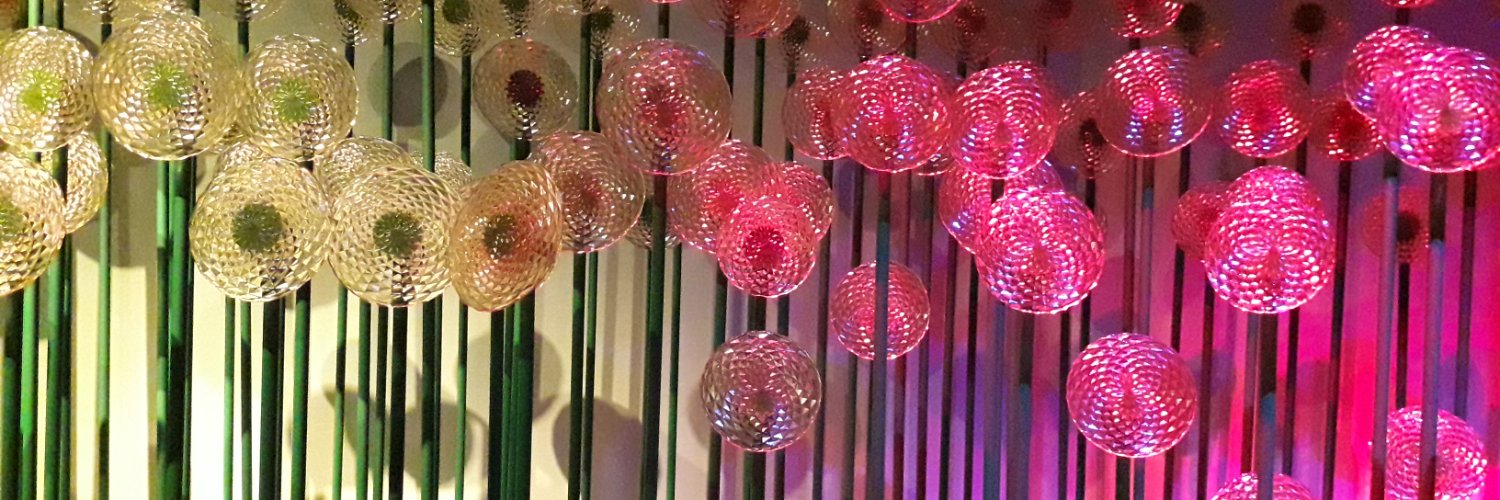 JenniBlomgren's profile banner image