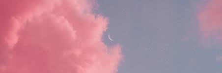 SnowwNinja's profile banner image