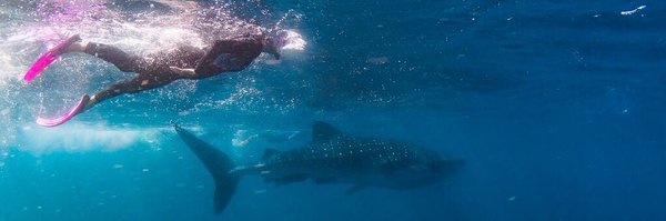 lauhumphreys Profile Banner