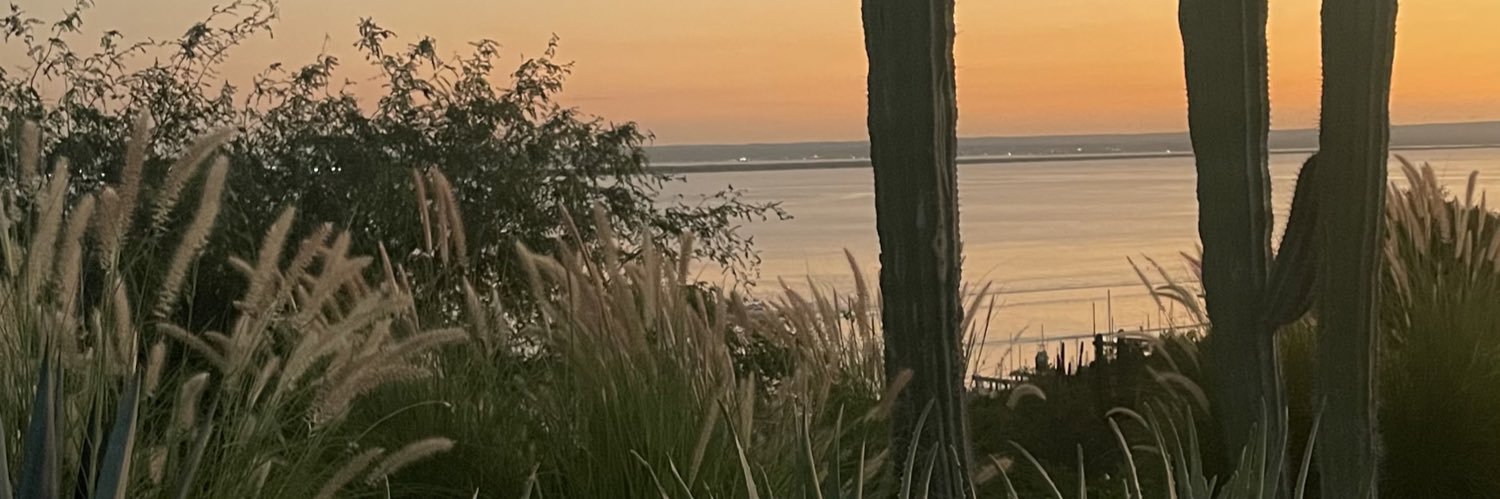 rociomacram's profile banner image