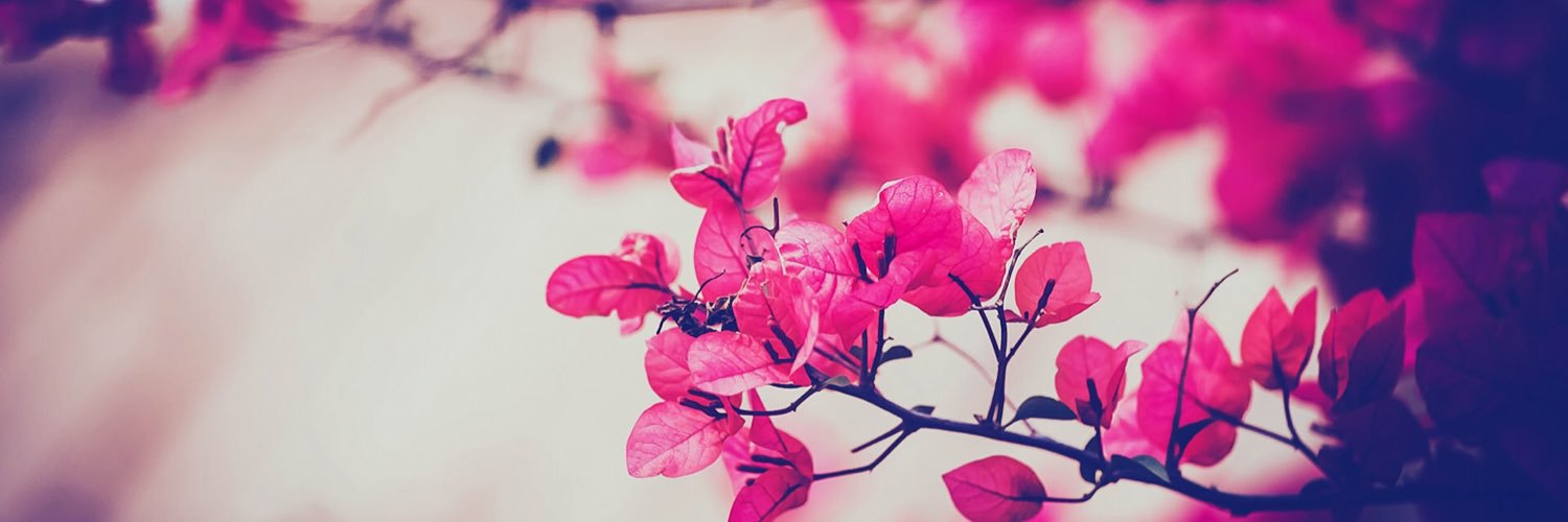 KM_KuW's profile banner image