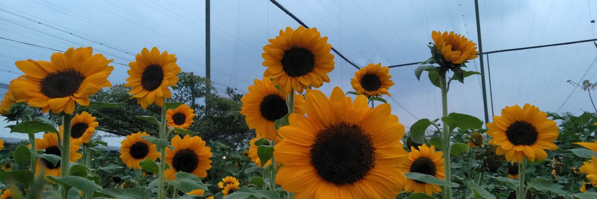 rainyuniarrr's profile banner image