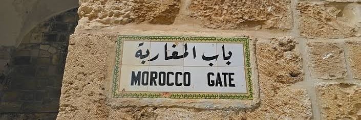 Mogharrid_'s profile banner image