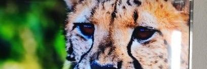 sanjupolytech's profile banner image